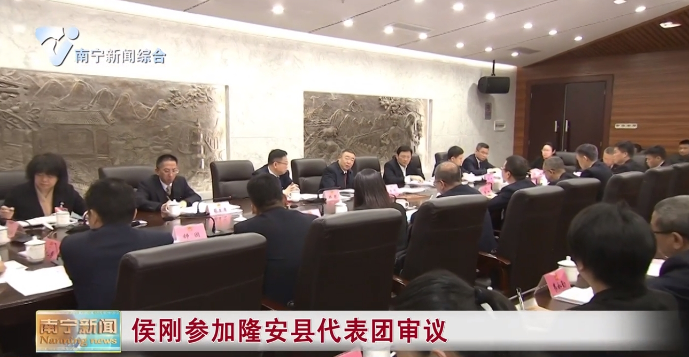 侯刚参加隆安县代表团审议 