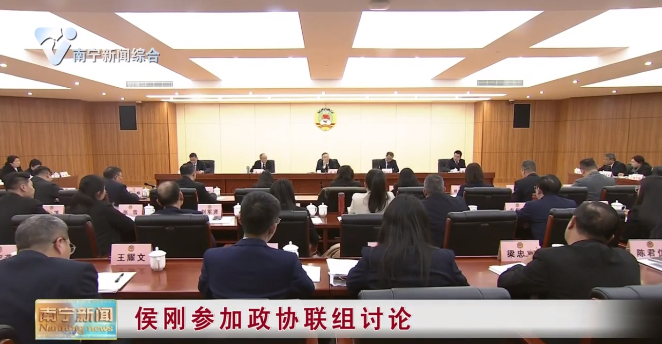 侯刚参加政协联组讨论