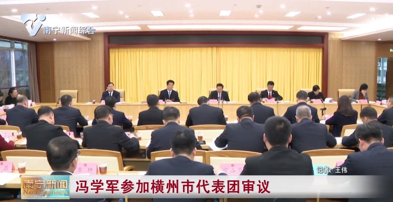 冯学军参加横州市代表团审议 