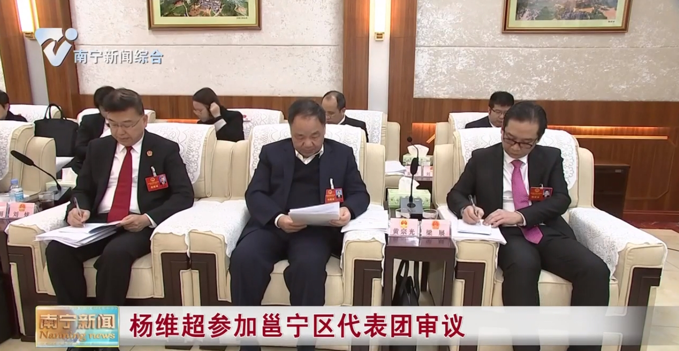 杨维超参加邕宁区代表团审议
