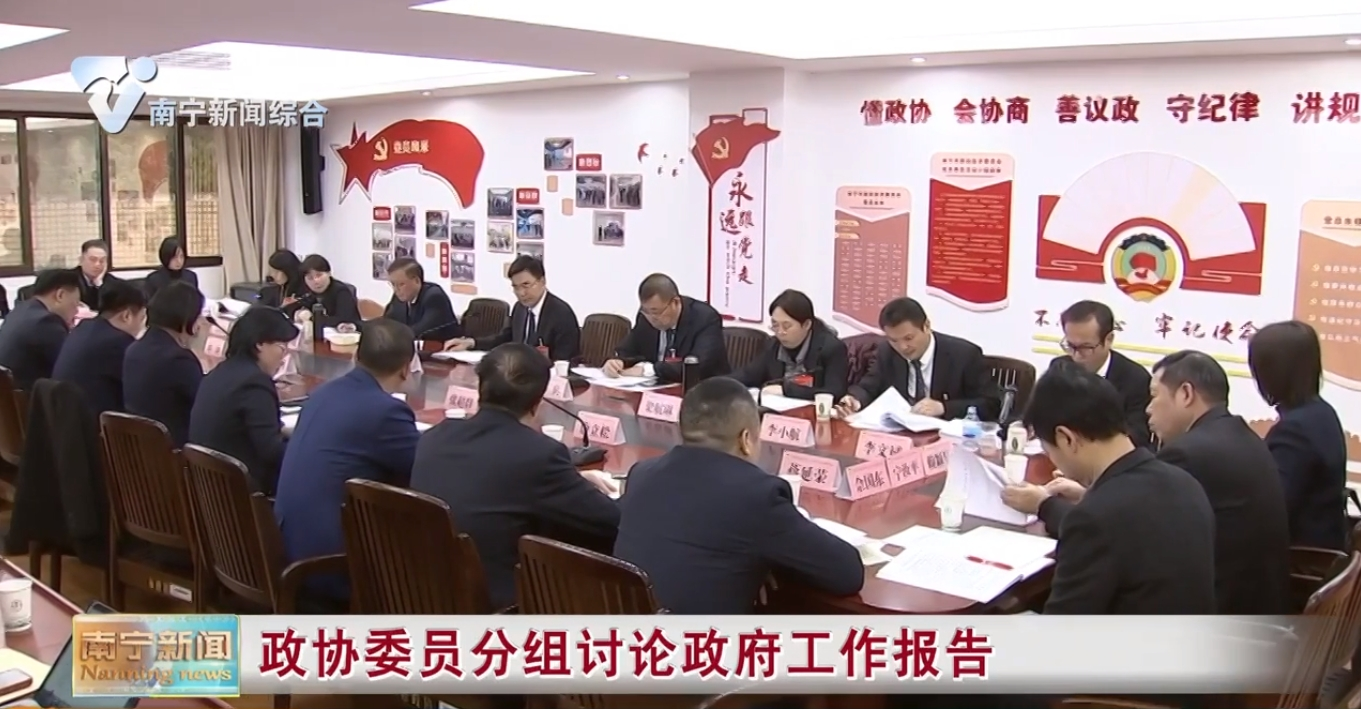 政协委员分组讨论政府工作报告