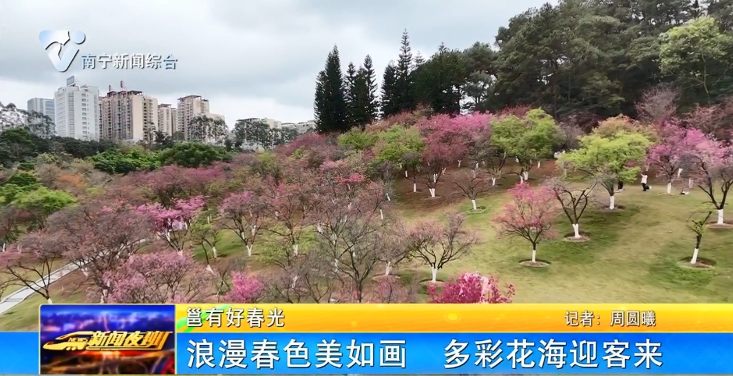 【邕有好春光】浪漫春色美如畫(huà)  多彩花海迎客來(lái) 