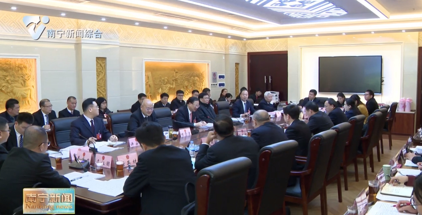 冯学军参加马山县代表团审议