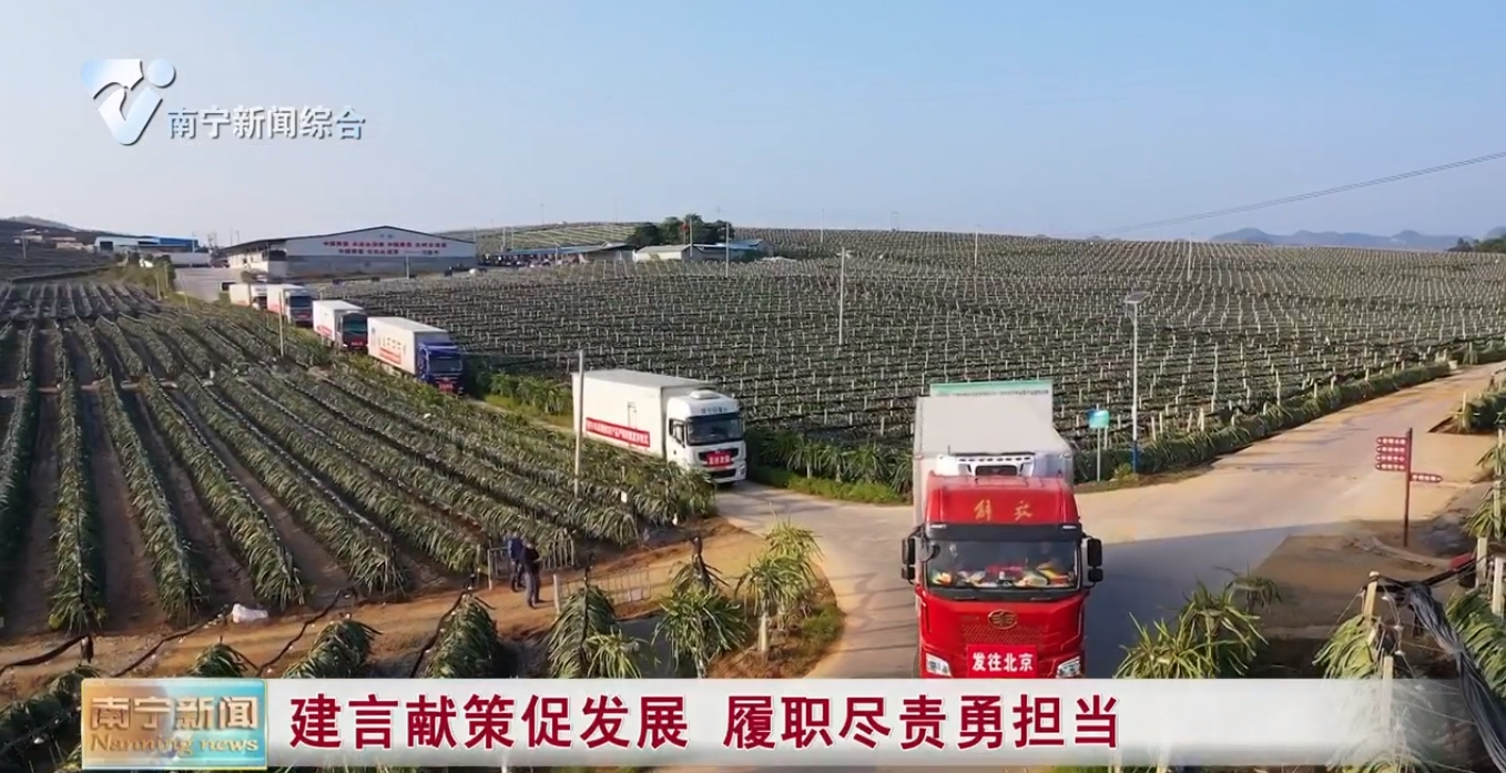 建言献策促发展 履职尽责勇担当