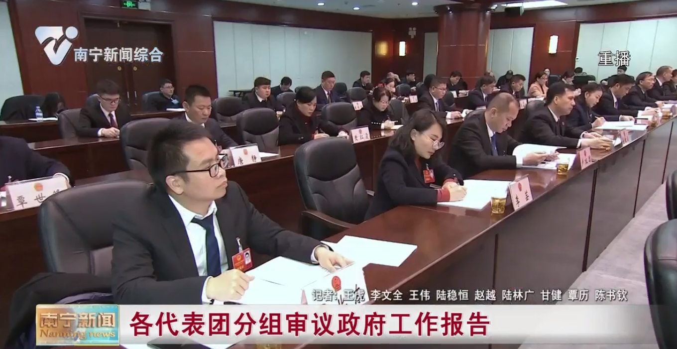 各代表团分组审议政府工作报告