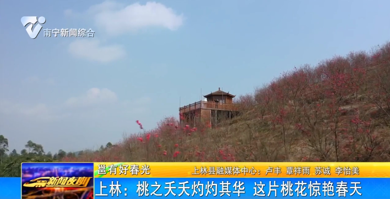 【邕有好春光】上林：桃之夭夭灼灼其華 這片桃花驚艷春天 