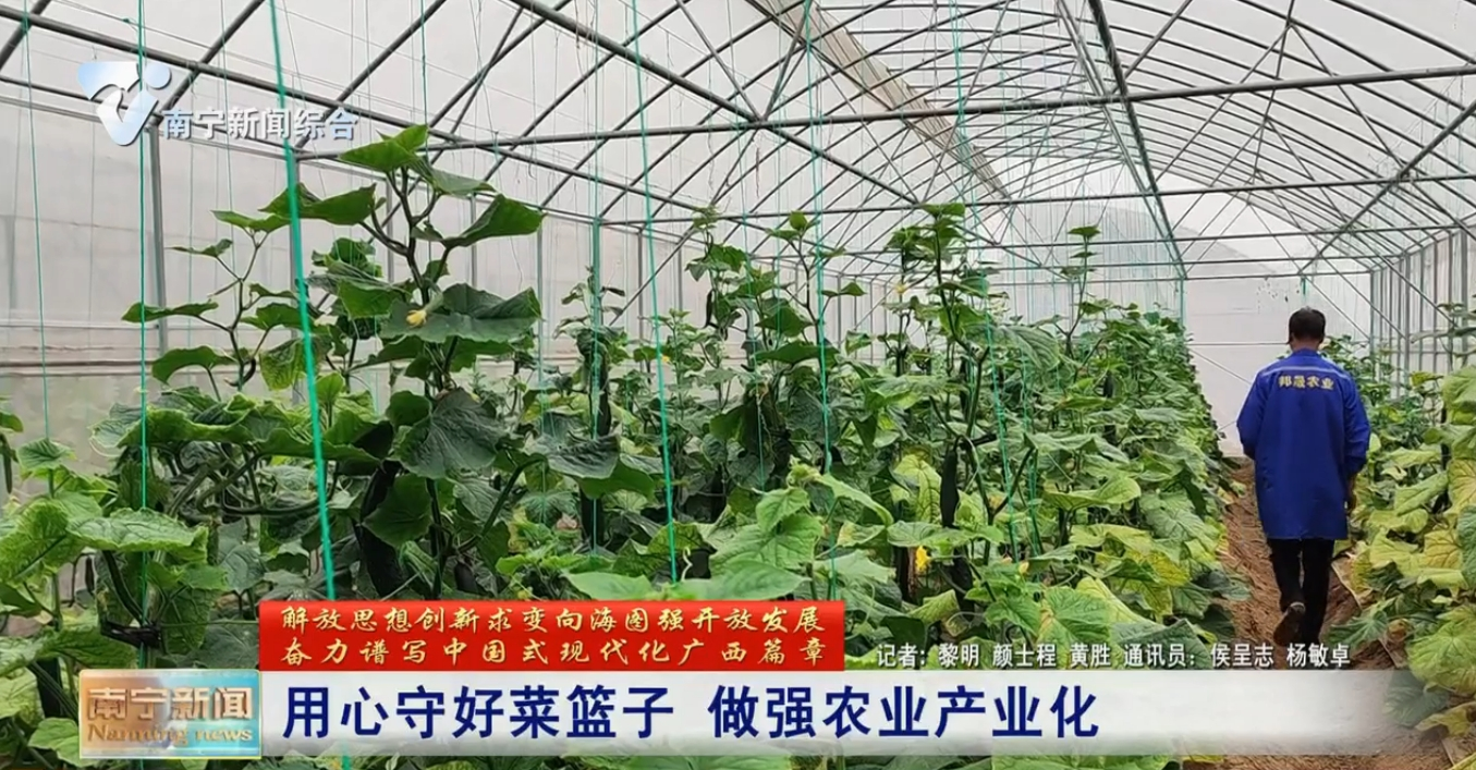 用心守好菜籃子  做強農業產業化