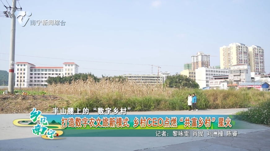 【半山腰上的“数字乡村”】打造数字农文旅新模式 乡村CEO点燃“共富乡村”星火