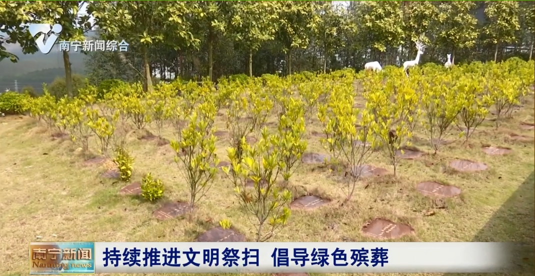 持續推進文明祭掃 倡導綠色殯葬 