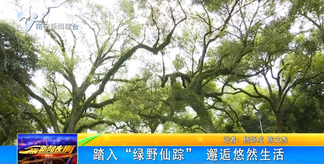 踏入“綠野仙蹤” 邂逅悠然生活 