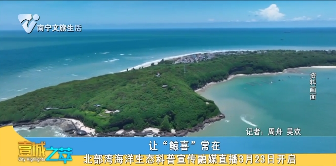 让“鲸喜”常在 北部湾海洋生态科普宣传融媒直播3月23日开启