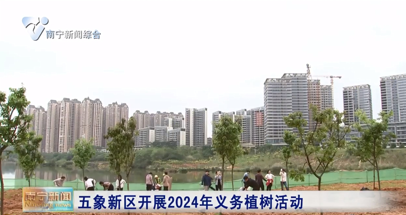 五象新区开展2024年义务植树活动 