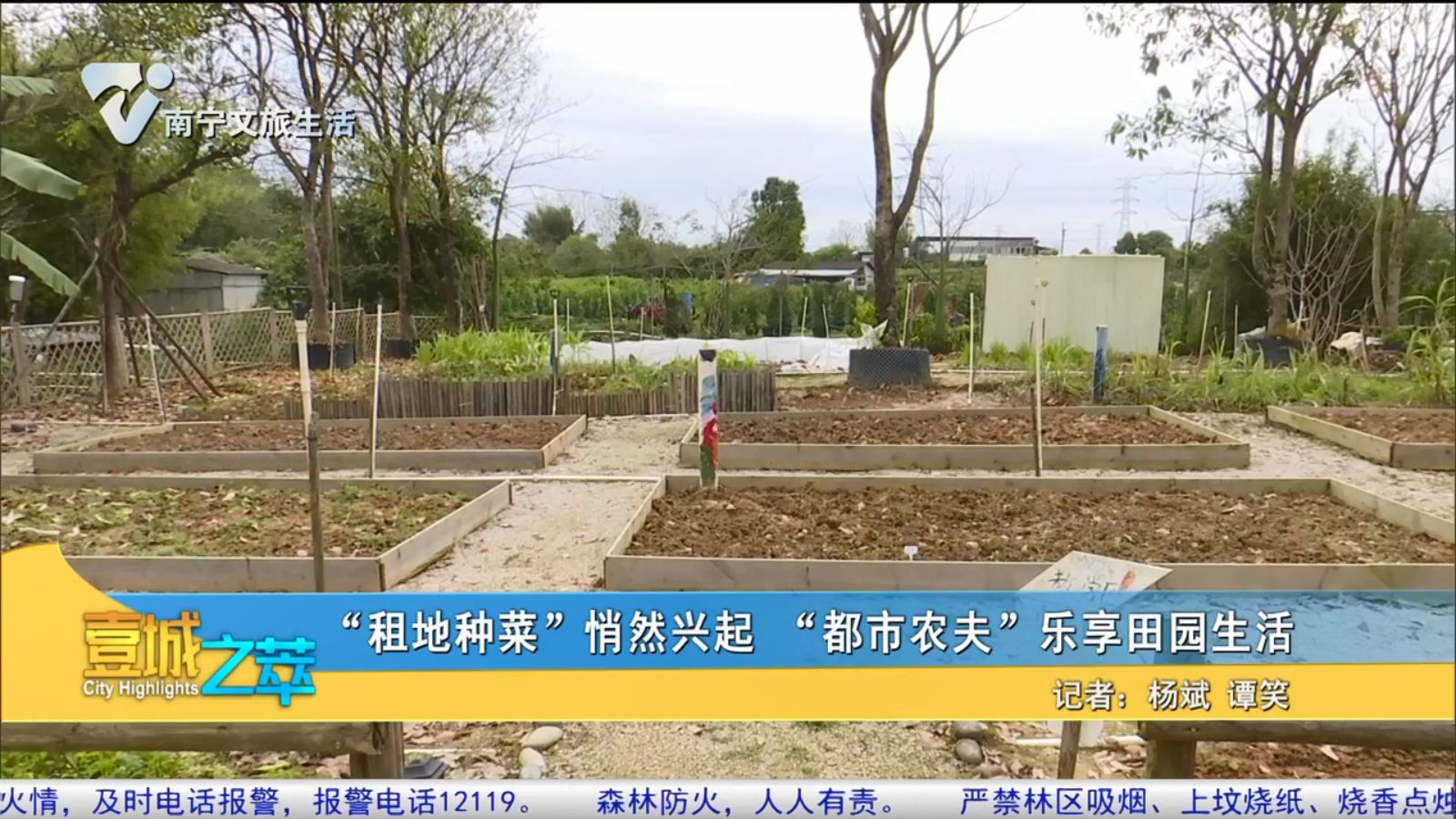 “租地种菜”悄然兴起 “都市农夫”乐享田园生活