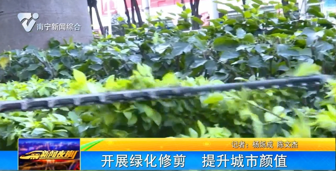 開展綠化修剪 提升城市顏值
