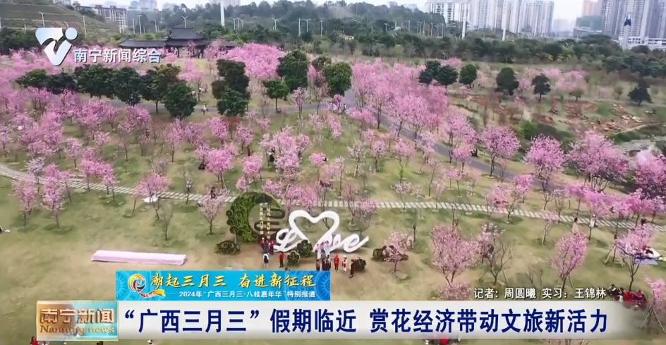 “廣西三月三”假期臨近  賞花經(jīng)濟帶動文旅新活力   