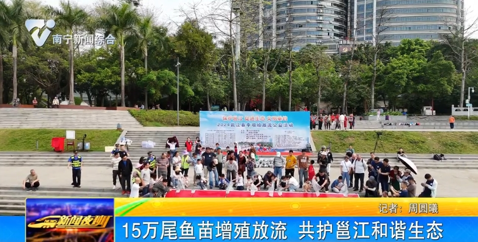 15萬(wàn)尾魚(yú)苗增殖放流 共護(hù)邕江和諧生態(tài)  
