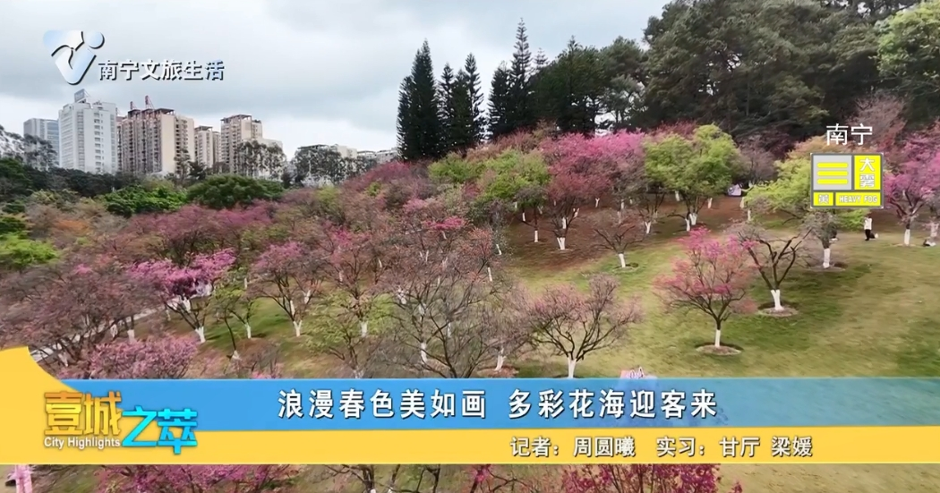 浪漫春色美如画 多彩花海迎客来