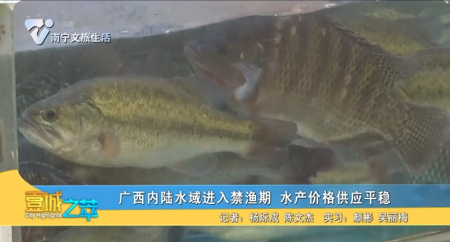 广西内陆水域进入禁渔期 水产价格供应平稳