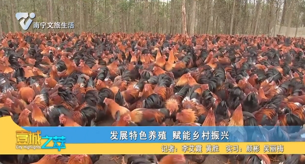 发展特色养殖 赋能乡村振兴