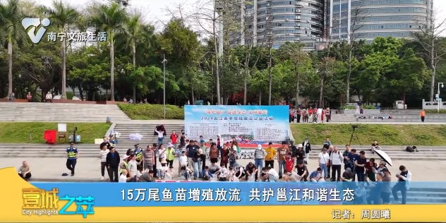 15万尾鱼苗增殖放流 供护邕江和谐生态