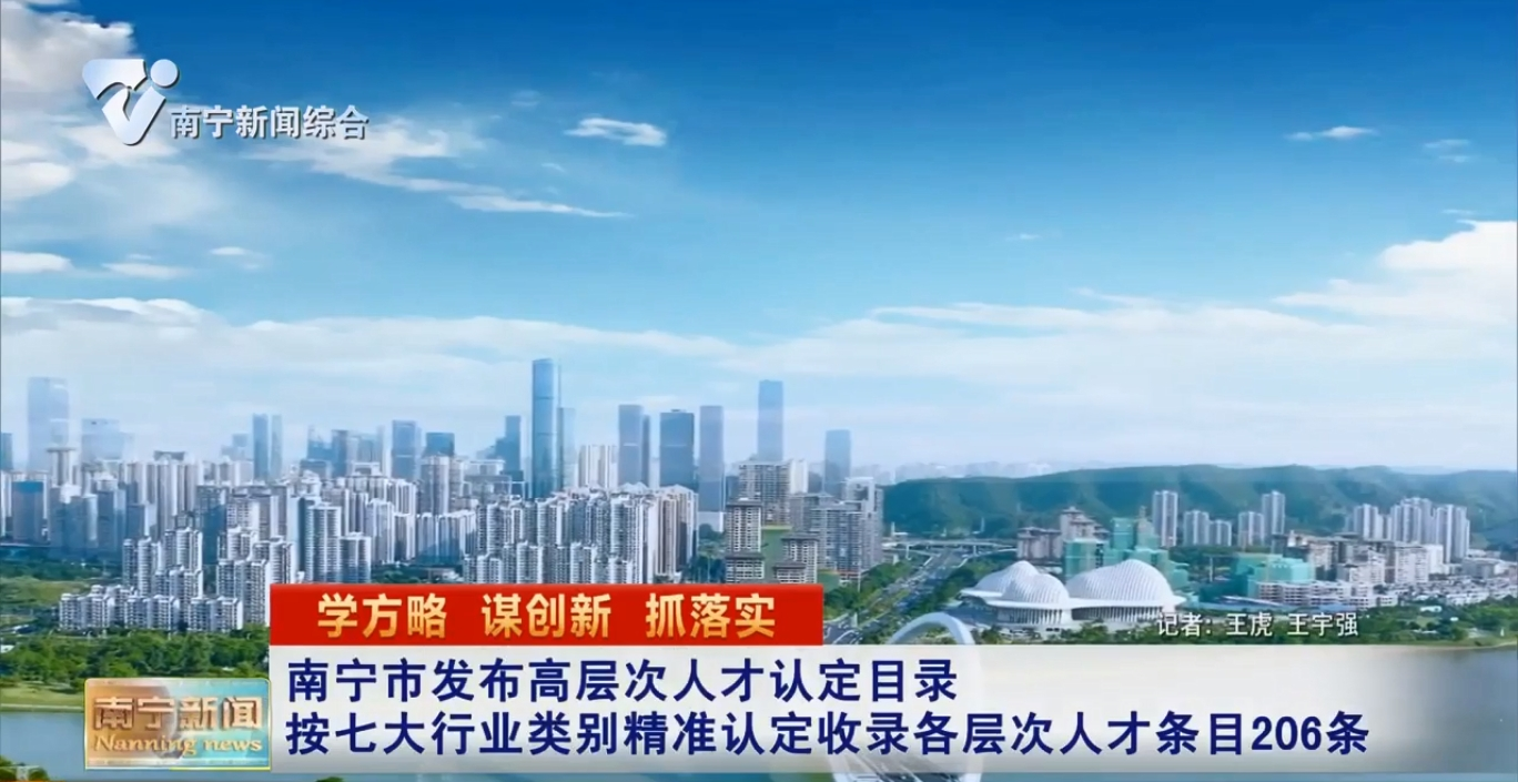 南寧市發(fā)布高層次人才認(rèn)定目錄  按七大行業(yè)類別精準(zhǔn)認(rèn)定收錄各層次人才條目206條  