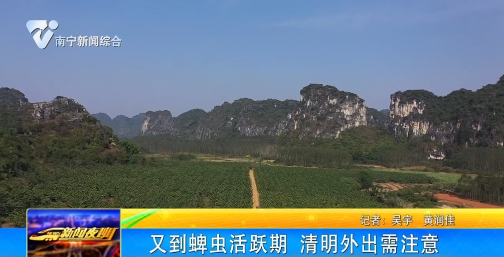 又到蜱蟲活躍期 清明外出需注意