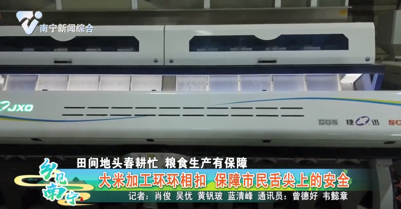 【田间地头春耕忙 粮食生产有保障】大米加工环环相扣 保障市民舌尖上的安全