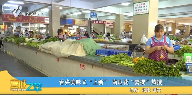 舌尖美味“上新”南瓜花“喜提”热搜