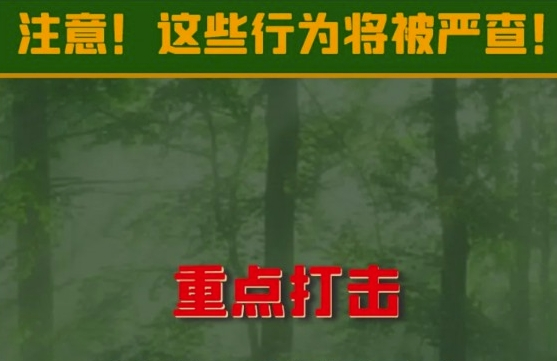清明期间注意！这些行为将被严查！