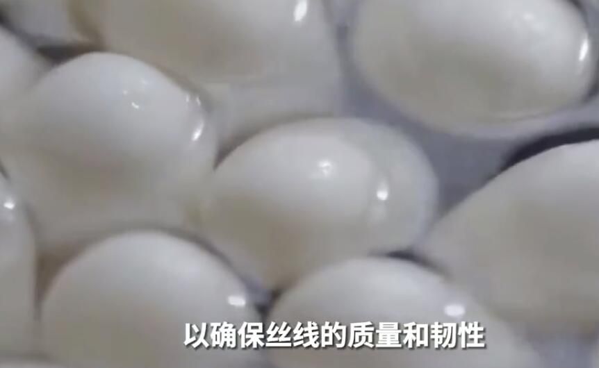 文化中国行｜湖丝细线牵八钱 古镇里的非遗传承