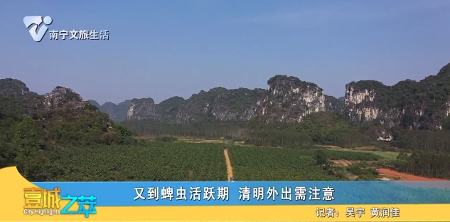 又到蜱虫活跃期 清明外出需注意