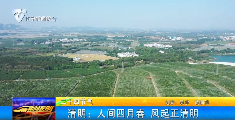 清明：人间四月春  风起正清明