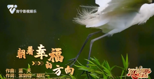 朝着幸福的方向