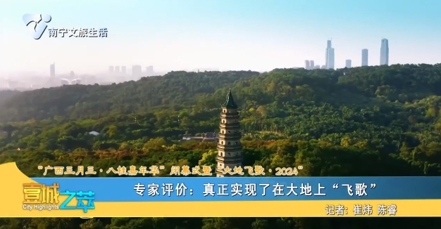 【“广西三月三·八桂嘉年华”闭幕式暨“大地飞歌·2024”】专家评价：真正实现了在大地上“飞歌”