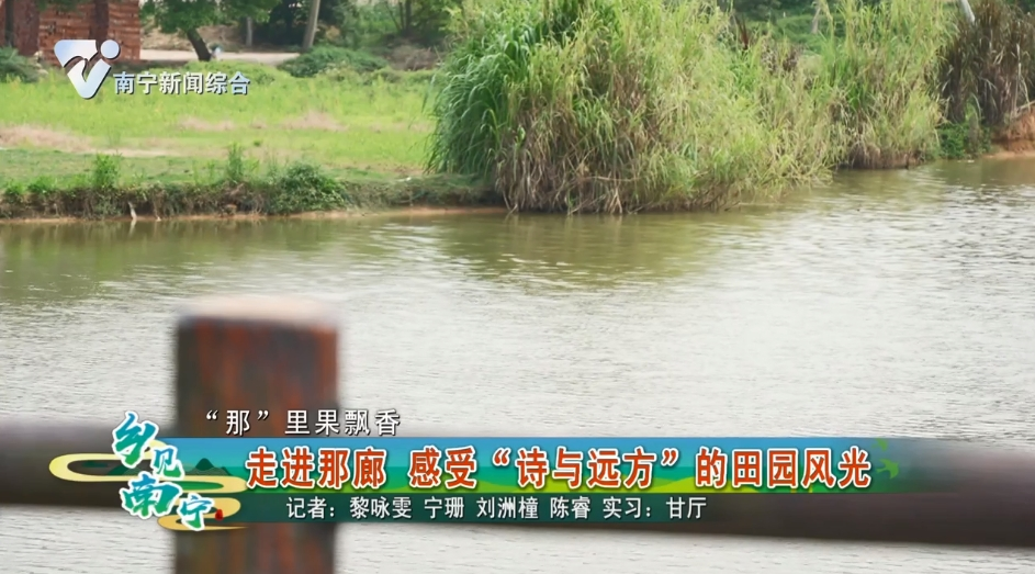【“那”里果飘香】走进那廊 感受“诗与远方”的田园风光
