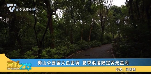 狮山公园萤火虫密境 夏季浪漫限定荧光星海