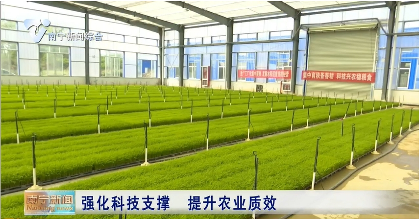 强化科技支撑  提升农业质效 
