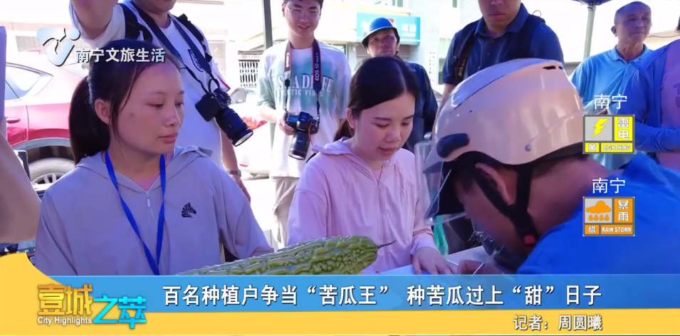 百名种植户争当“苦瓜王” 种苦瓜过上“甜”日子