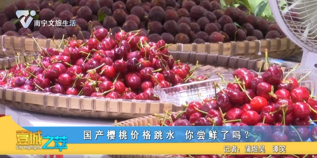 国产樱桃价格跳水 你尝鲜了吗？