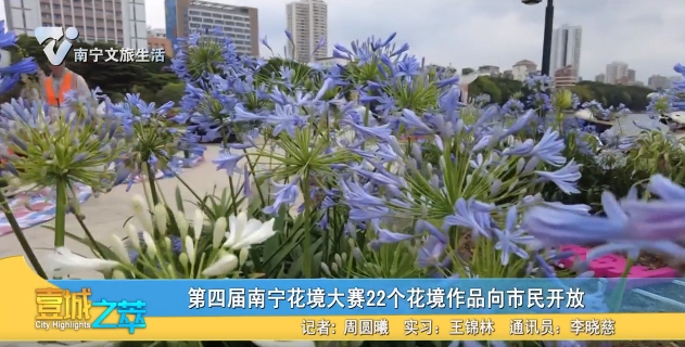 第四届南宁花境大赛22个花境作品向市民开放