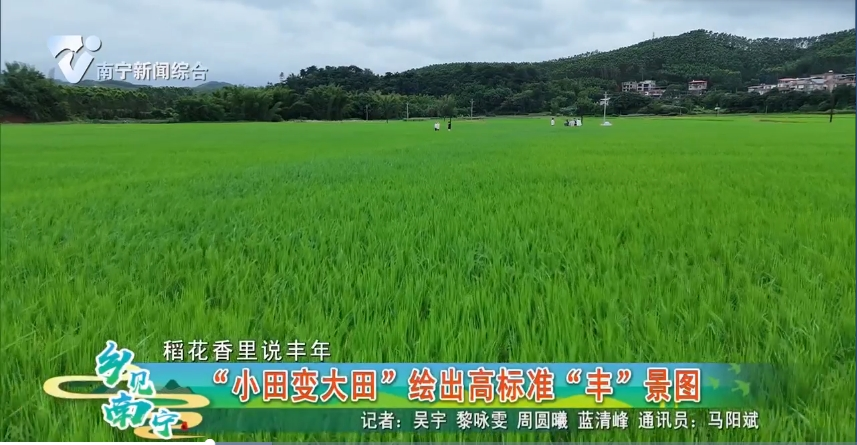 【稻花香里说丰年】“小田变大田”绘出高标准“丰”景图