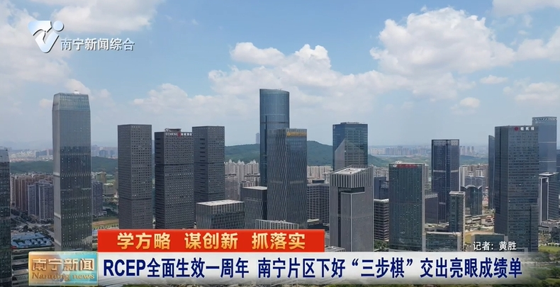 RCEP全面生效一周年 南宁片区下好“三步棋”交出亮眼成绩单