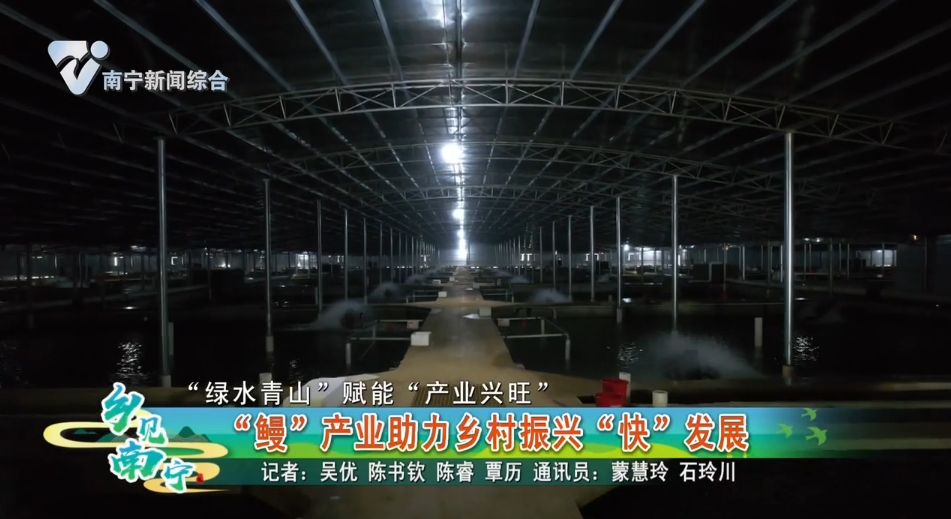 【“绿水青山”赋能“产业兴旺”】“鳗”产业助力乡村振兴“快”发展