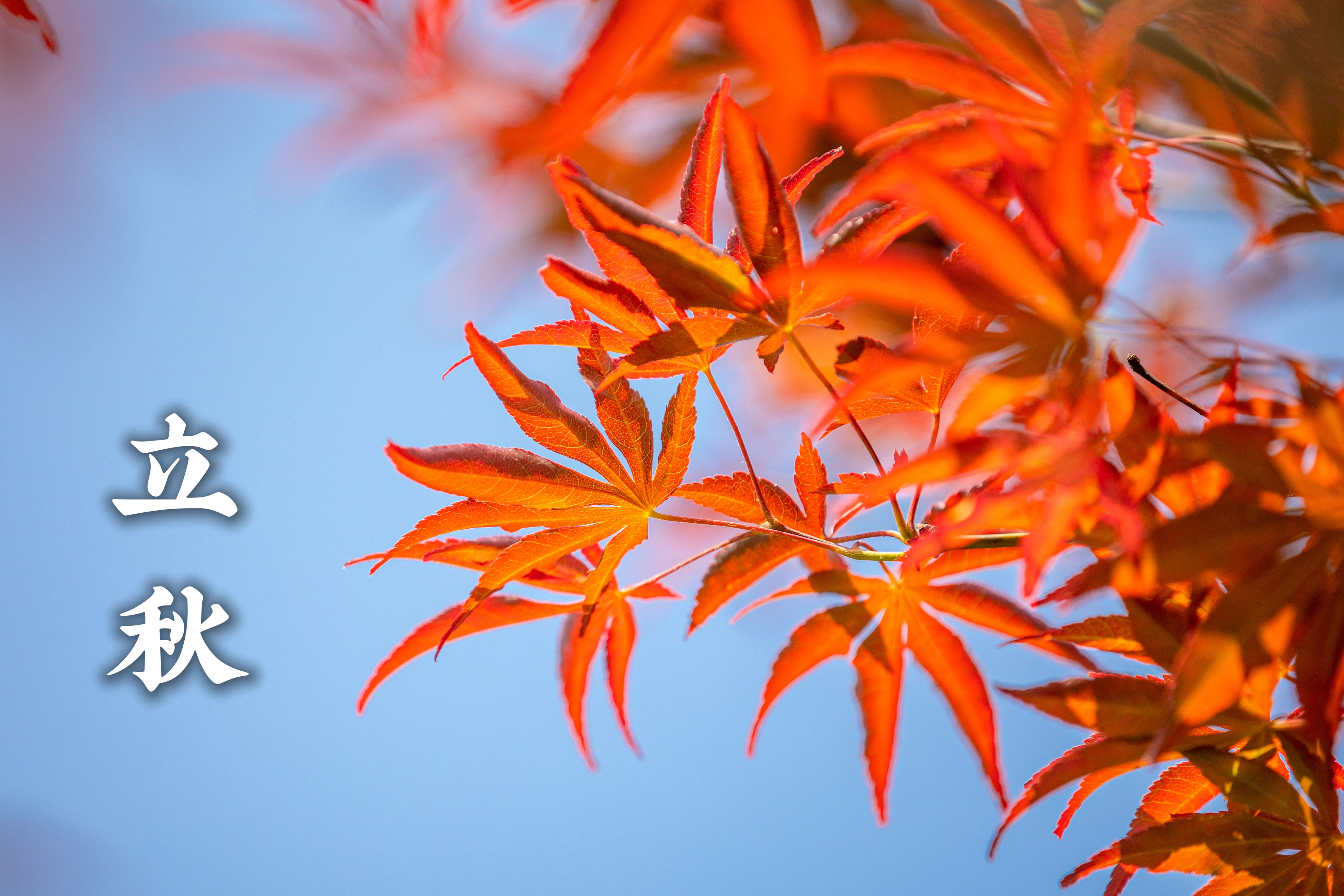节气里的大美中国|立秋-老友网-南宁网络广播电视台