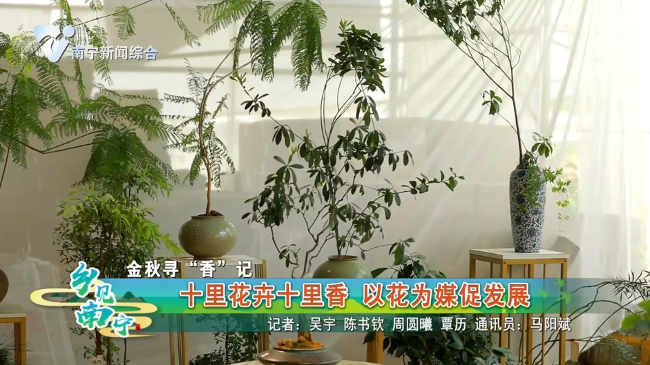 【金秋寻“香”记】十里花卉十里香 以花为媒促发展