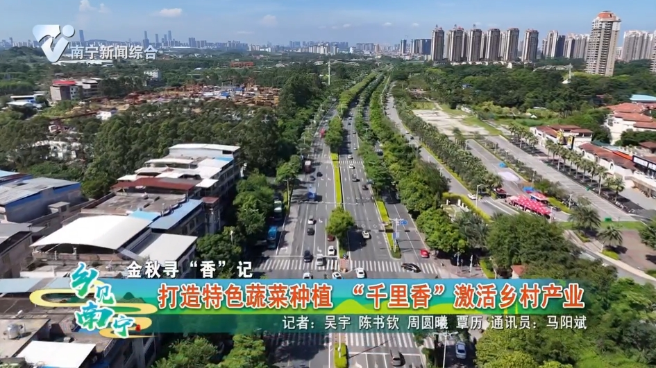 【金秋寻“香”记】打造特色蔬菜种植“千里香”激活乡村产业