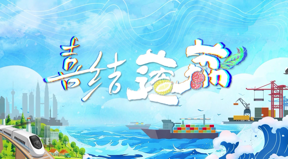 【第六届中国—东盟视听周】喜结莲荔（上集）