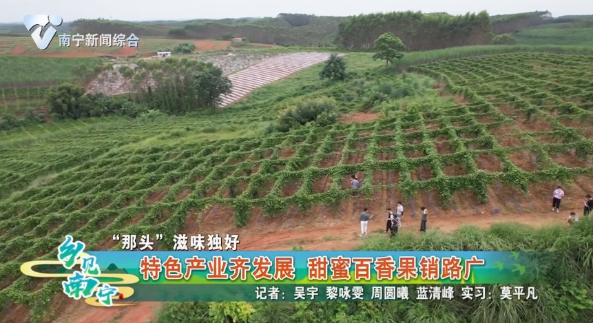 【“那头”滋味独好】特色产业齐发展 甜蜜百香果销路广
