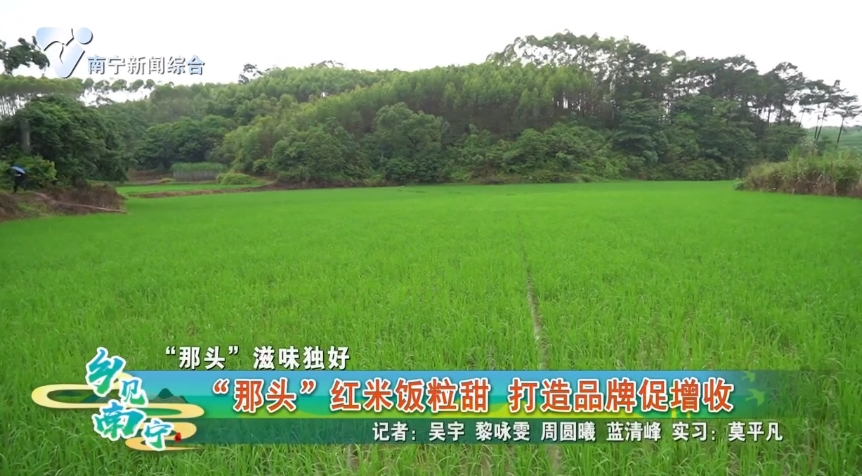 【“那头”滋味独好】“那头”红米饭粒甜 打造品牌促增收
