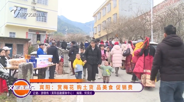 宾阳：赏梅花 购土货 品美食 促销费